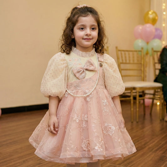 Baby Girl Fancy Frock - Elegant Party Dress 18M-4Y