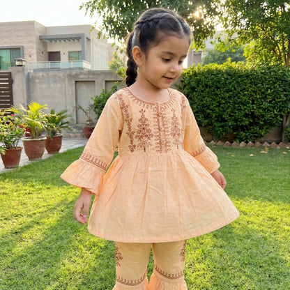 Baby Girl Embroidered Frock - Premium Party Dress 12M-3Y